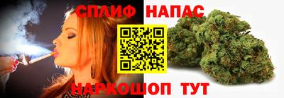 шишки Кандалакша