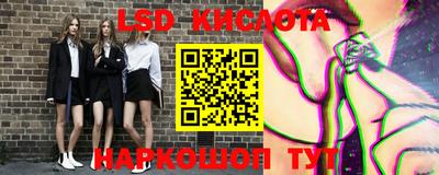 шишки Кандалакша