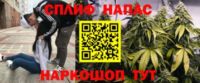 гидра Канаш