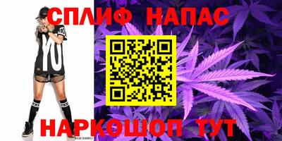 шишки Кандалакша