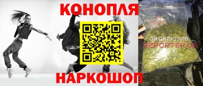 шишки Кандалакша