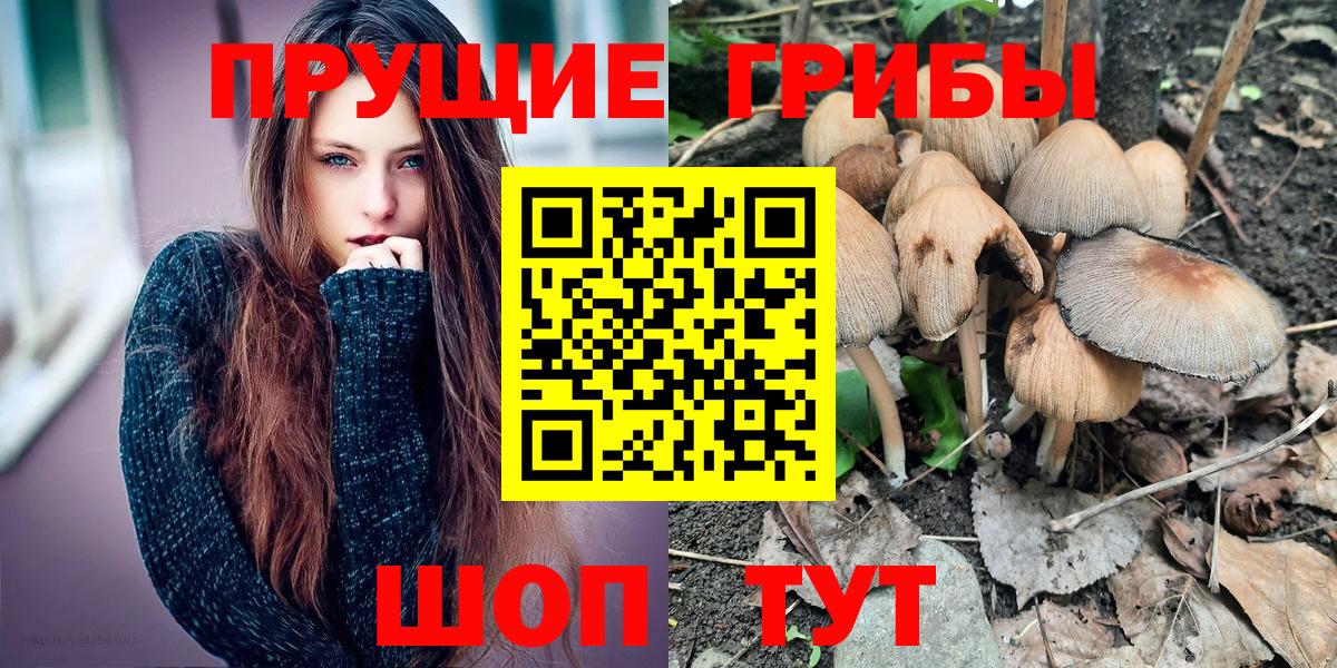 Каменск-Уральский  Галлюциногенные грибы прущие грибы  Вход с VPN 
