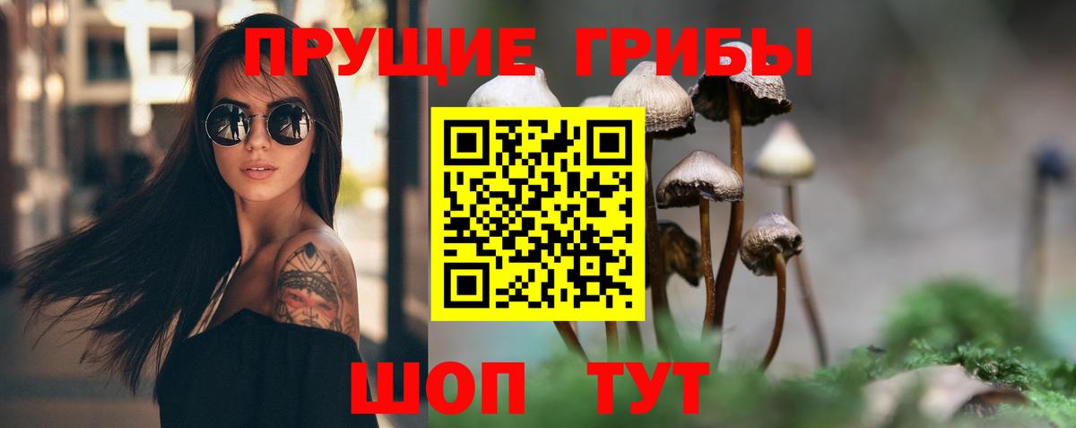 Псилоцибиновые грибы ЛСД Каменск-Уральский